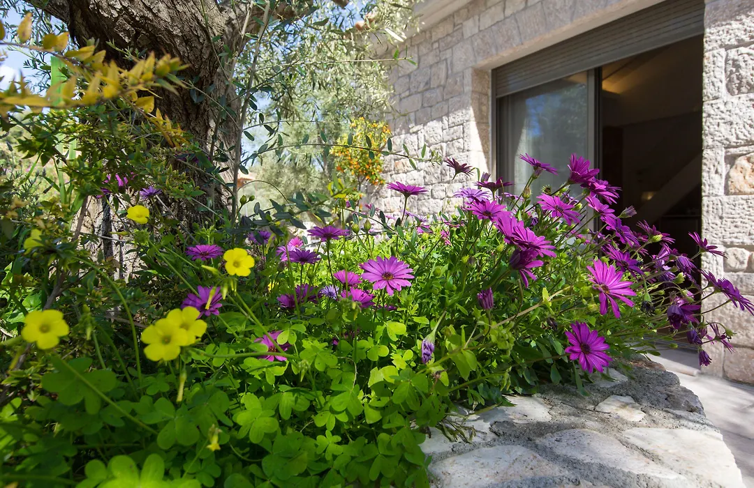 Anthemion Suites And Villas-1